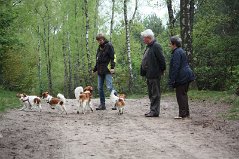 Douwe 28-04-2012 Stamboom brengen IMG_4411