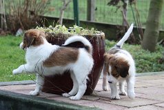 IMG_1594