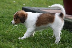 IMG_1611