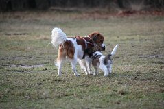 IMG_1924