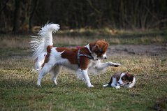 IMG_1986