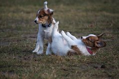 IMG_2002