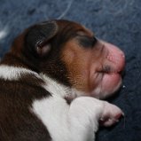 IMG_6760