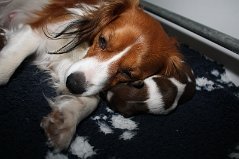 IMG_6782