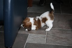 IMG_9002