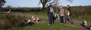 Nest 20-12-2014 Wandeling 1 Jaar