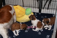 DSC05783