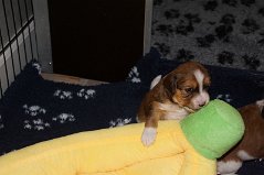DSC05790