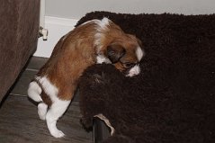 DSC05933
