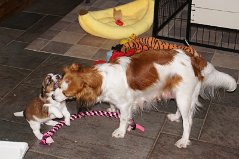 DSC05939