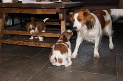 DSC05957
