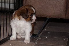 DSC06000