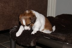 DSC06009
