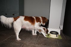DSC06015