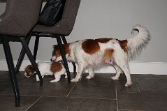 DSC06020