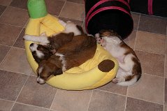 DSC06026