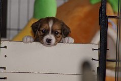 DSC06029