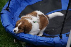DSC06236