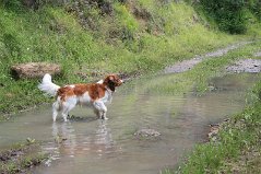 IMG_2850 Camiel: Even de pootjes in het water afkoelen