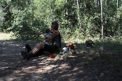 IMG_1533