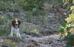 IMG_1563
