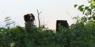 IMG_1770