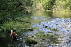 IMG_1905