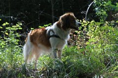 IMG_1909