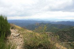 IMG_1926