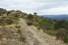 IMG_1931