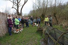 Eendenkooi_Waardenburg_260311_3637