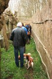 Eendenkooi_Waardenburg_260311_3681