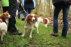 Eendenkooi_Waardenburg_260311_3684