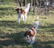 2919_110127_camiel_famke