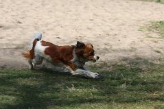 Wandeling_met_Bregje_Heemskerk_090411_4424