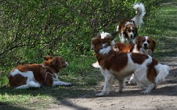 Wandeling_met_Bregje_Heemskerk_090411_4429