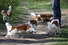 Wandeling_met_Bregje_Heemskerk_090411_4430