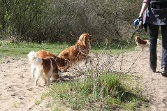 Wandeling_met_Bregje_Heemskerk_090411_4441