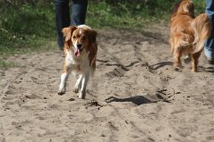 Wandeling_met_Bregje_Heemskerk_090411_4442