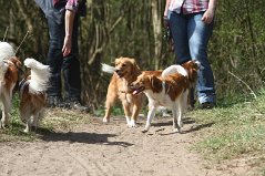 Wandeling_met_Bregje_Heemskerk_090411_4451