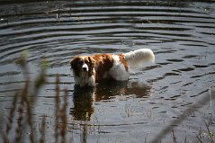 Wandeling_met_Bregje_Heemskerk_090411_4475