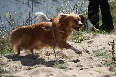 Wandeling_met_Bregje_Heemskerk_090411_4477