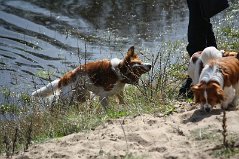 Wandeling_met_Bregje_Heemskerk_090411_4484