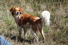 Wandeling_met_Bregje_Heemskerk_090411_4485