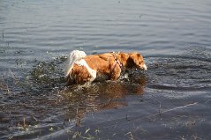 Wandeling_met_Bregje_Heemskerk_090411_4487