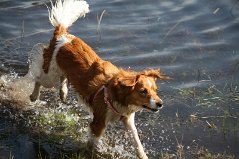 Wandeling_met_Bregje_Heemskerk_090411_4490