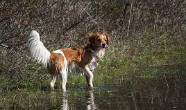 Wandeling_met_Bregje_Heemskerk_090411_4492