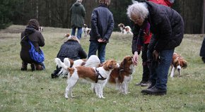 Forumwandeling leenderheide 2012-04-07 IMG_4114