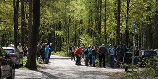 DSC09728 Iedereen is aanwezig. We kunnen gaan wandelen.