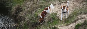 2012-03-31 Wandeling met Stefan en Sharon